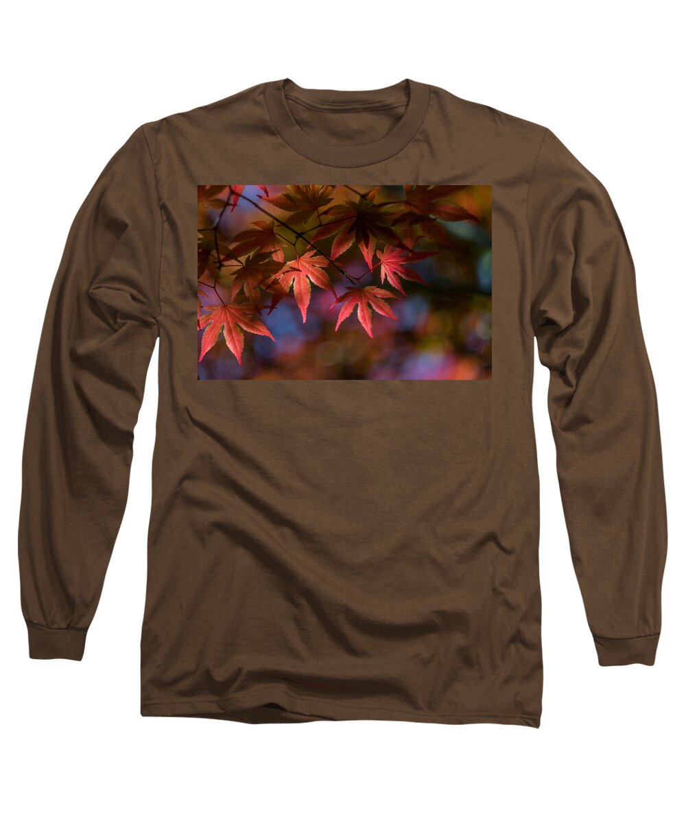 K-30 Long Sleeve T-Shirt featuring the photograph Colorful Japanese Maple by Lori Coleman