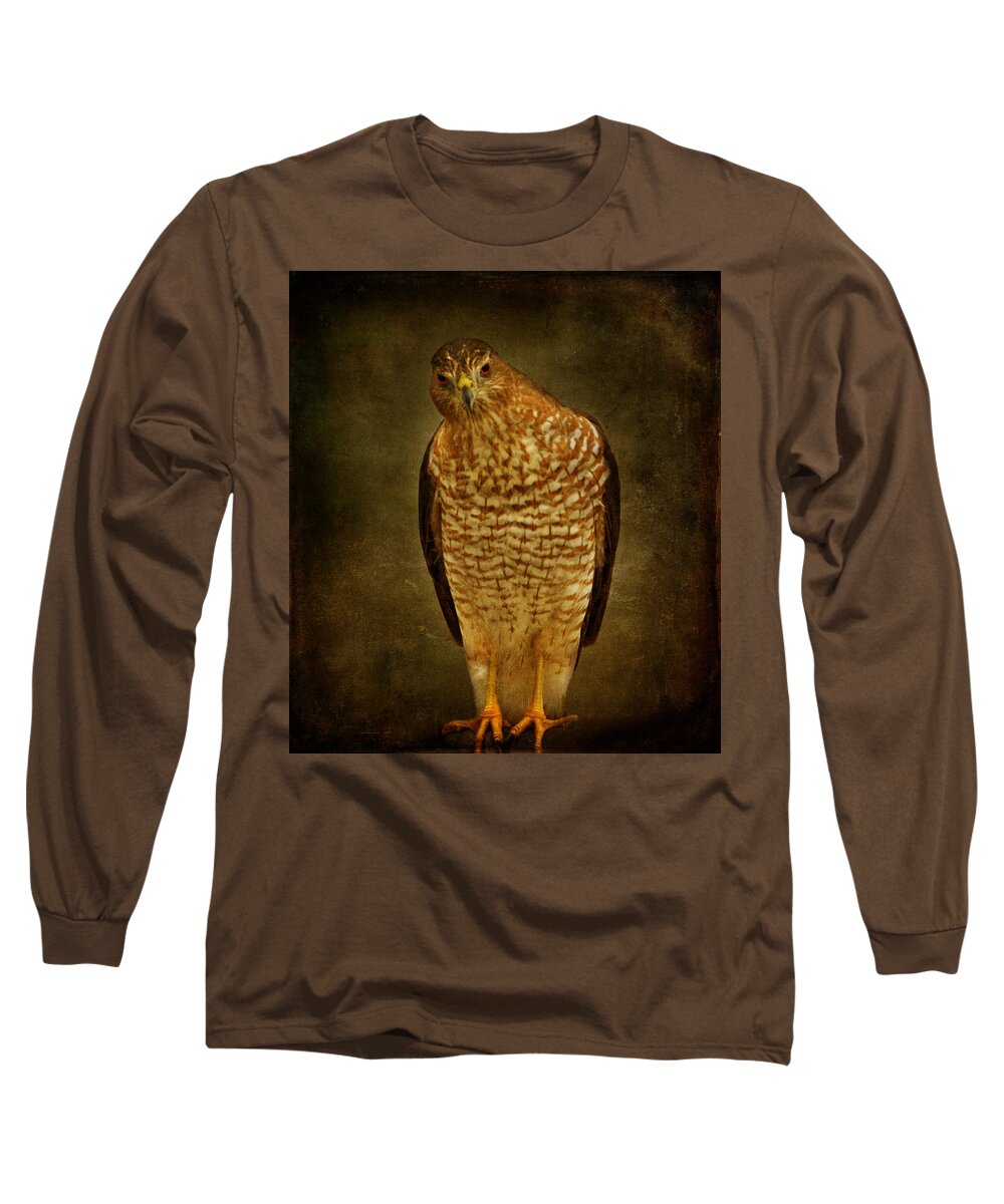 Hawk Long Sleeve T-Shirt featuring the photograph Coopers Hawk by Sandy Keeton
