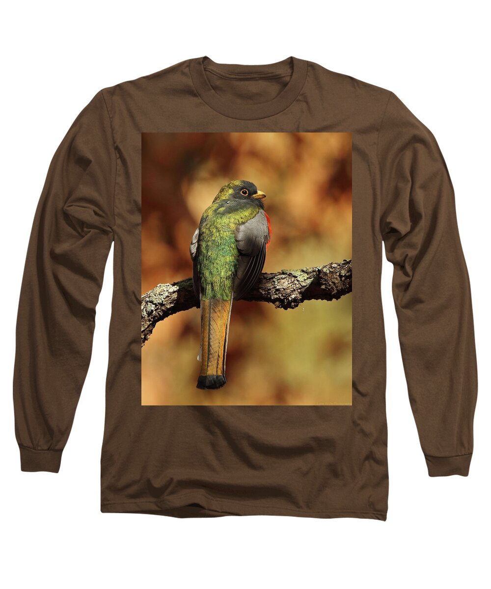 Bird Long Sleeve T-Shirt featuring the photograph A Coppery-tailed Elegant Trogon by Steve Wolfe