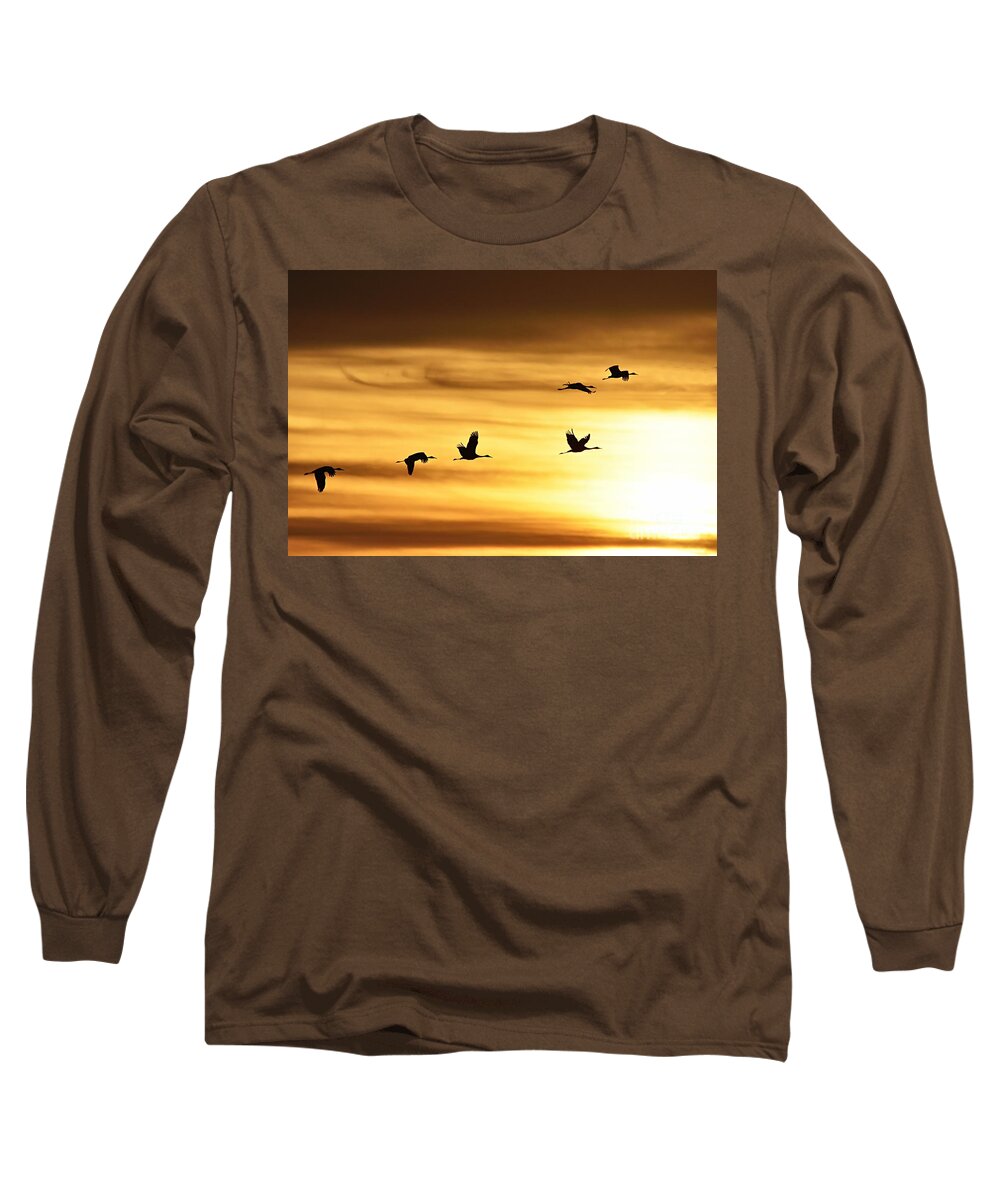Photography Long Sleeve T-Shirt featuring the photograph Cranes at Sunrise 2 by Larry Ricker
