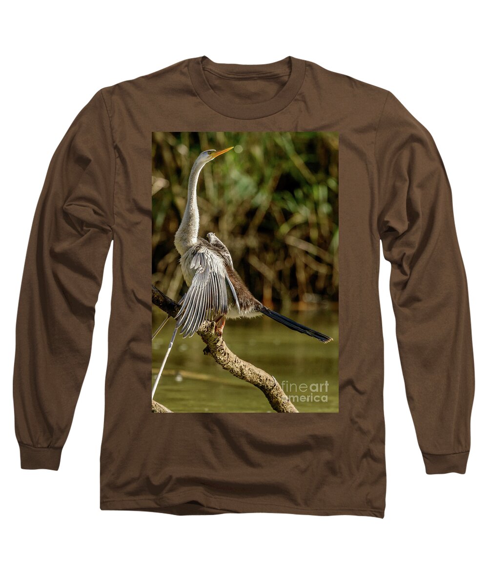 Bird Long Sleeve T-Shirt featuring the photograph Darter 01 by Werner Padarin