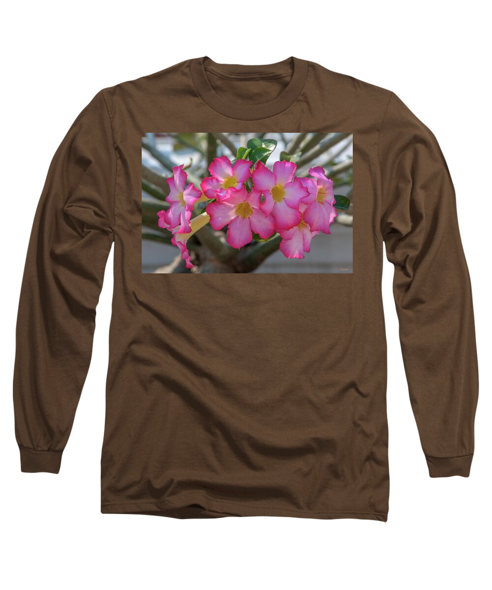 Scenic Long Sleeve T-Shirt featuring the photograph Desert Rose or Chuanchom DTHB2105 by Gerry Gantt