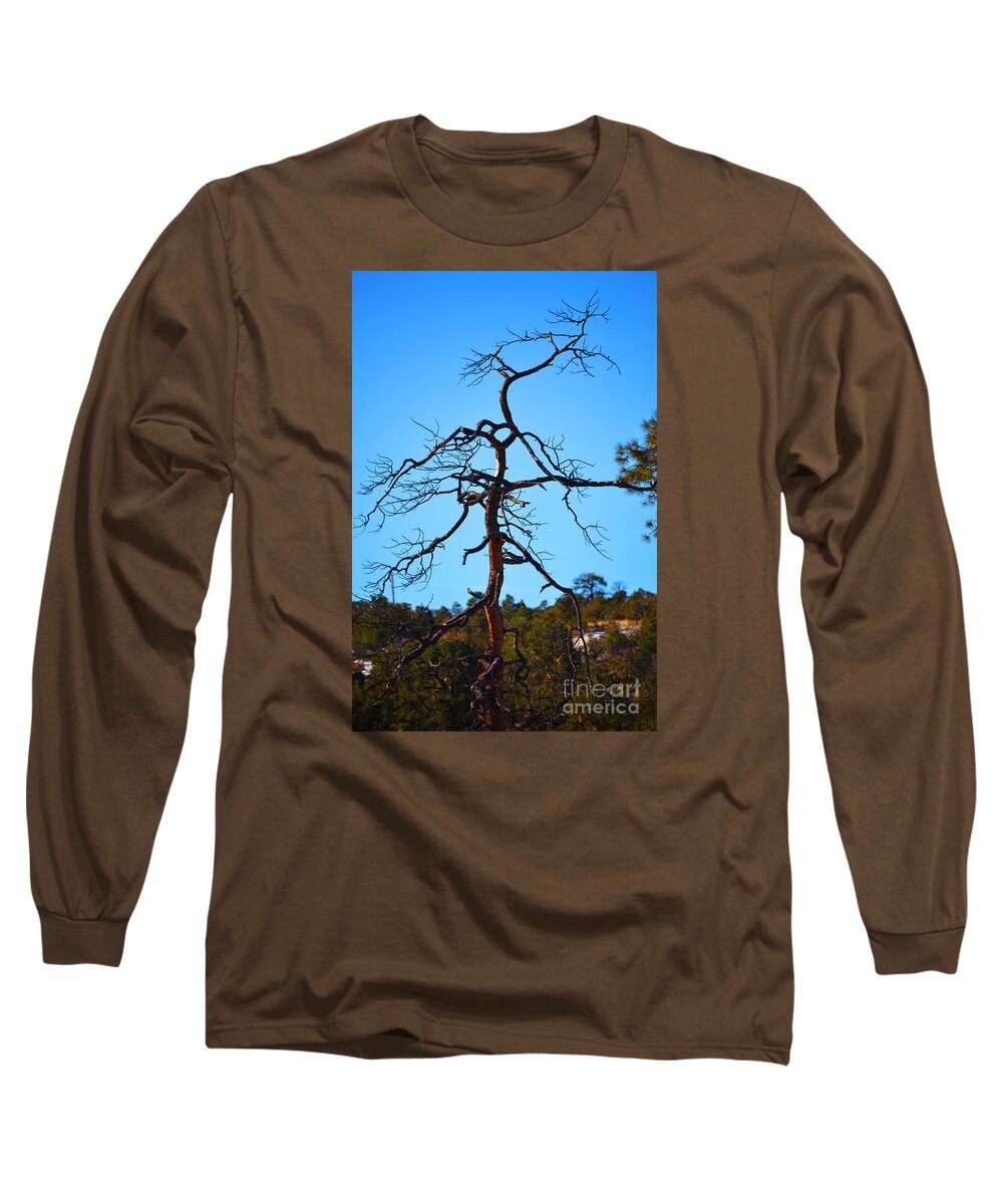 Southwest Landscape Long Sleeve T-Shirt featuring the photograph Deserts toll by Robert WK Clark