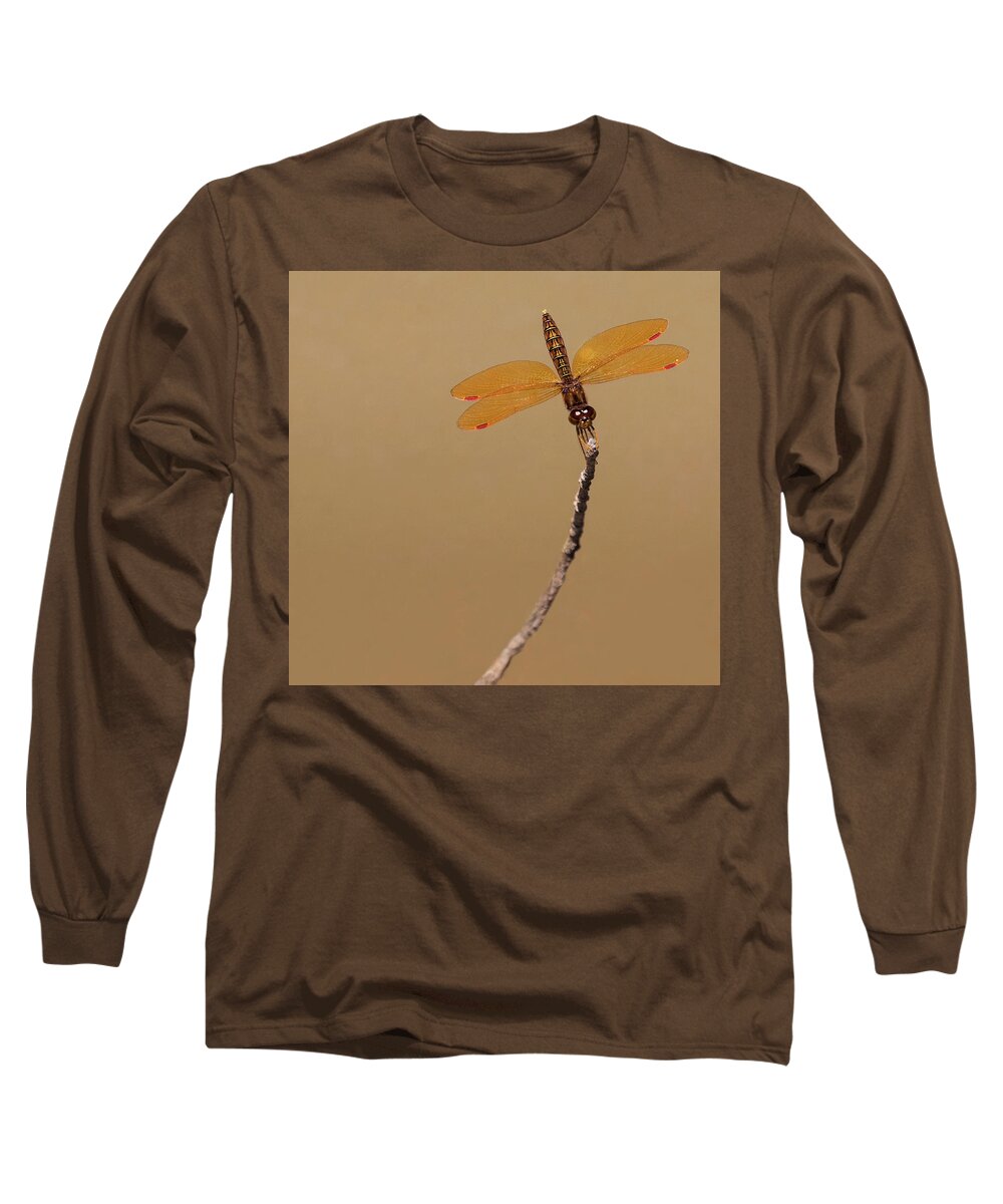 Dragonfly Long Sleeve T-Shirt featuring the photograph Eastern Amberwing by Art Cole