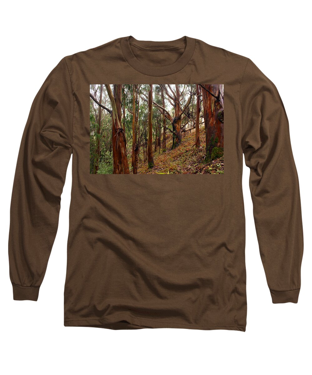 Forest Long Sleeve T-Shirt featuring the photograph Eucalyptus Grove in California by Ben Upham III