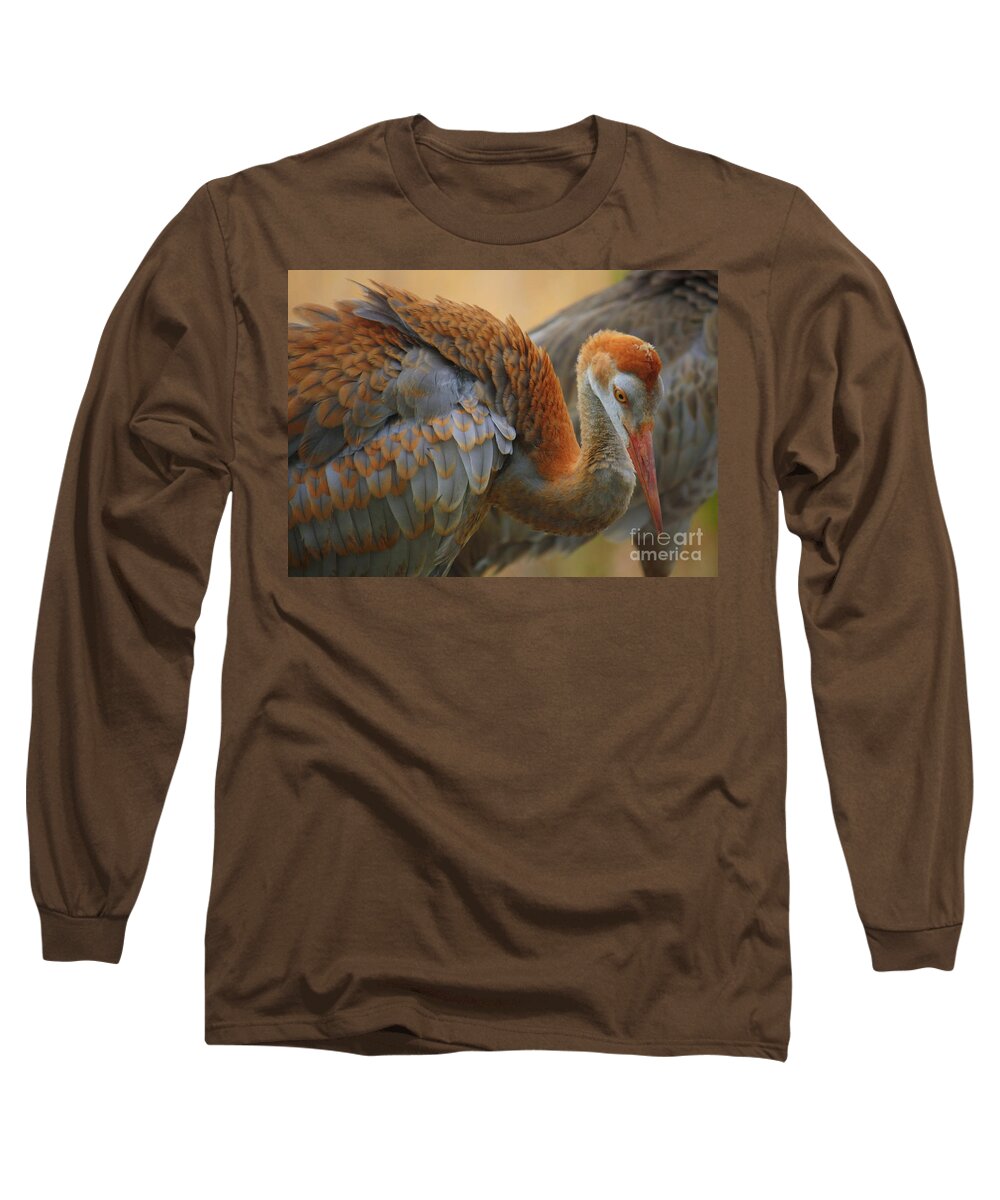Sandhill Crane Long Sleeve T-Shirt featuring the photograph Evolving Sandhill Crane Beauty by Carol Groenen