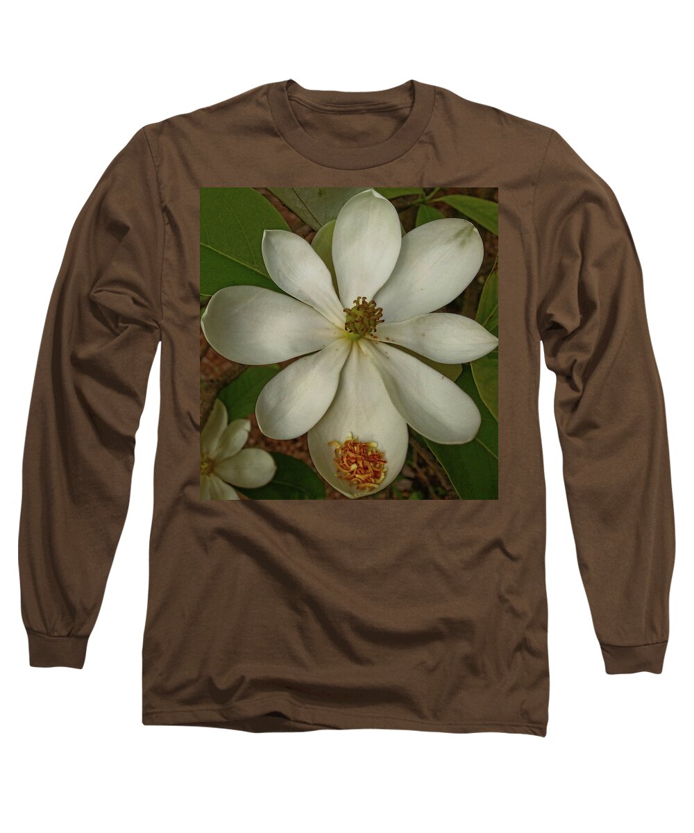 Flower Long Sleeve T-Shirt featuring the photograph Fading Glory by Robert Knight