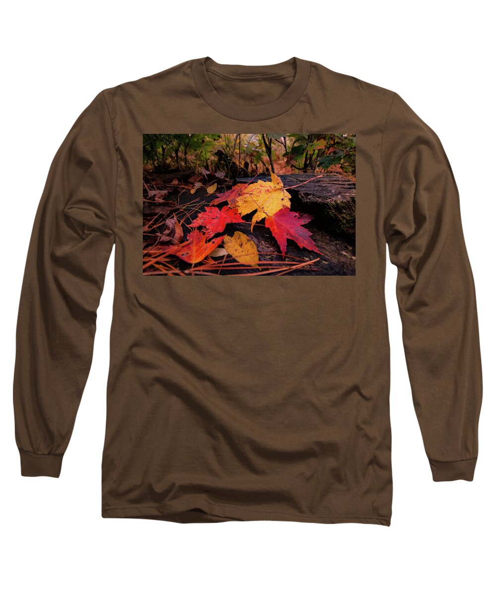 Color Long Sleeve T-Shirt featuring the photograph Fall Splendor by Neal Nealis