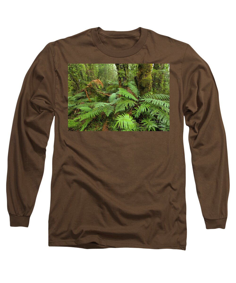 00463430 Long Sleeve T-Shirt featuring the photograph Fern in Wetland Natl Park by Yva Momatiuk John Eastcott