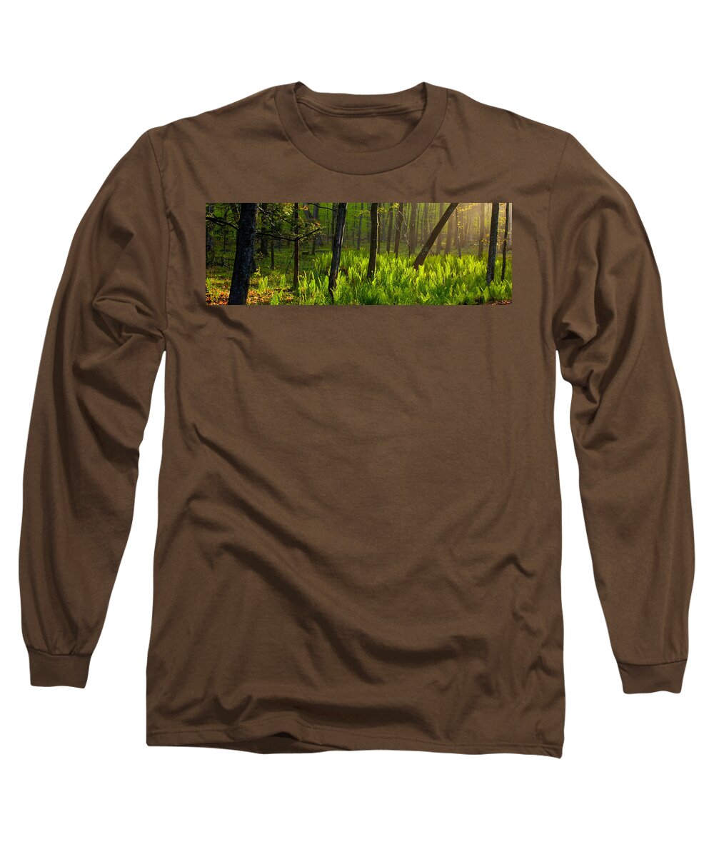 Wisconsin Long Sleeve T-Shirt featuring the photograph Fern Rise by David Heilman