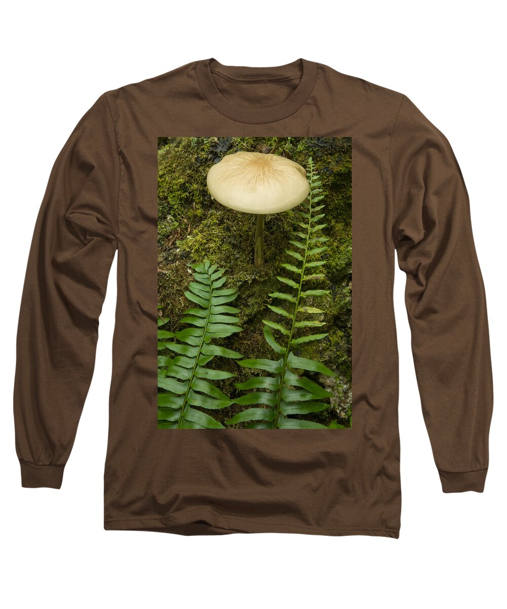 Kelly River Wilderness Long Sleeve T-Shirt featuring the photograph Ferns And Mushroom by Irwin Barrett