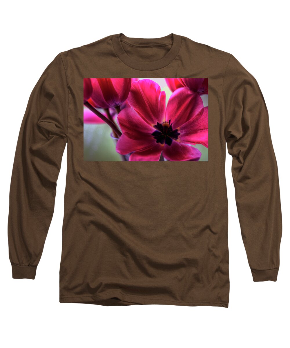 Hdr Long Sleeve T-Shirt featuring the photograph First to Wake by Brad Granger