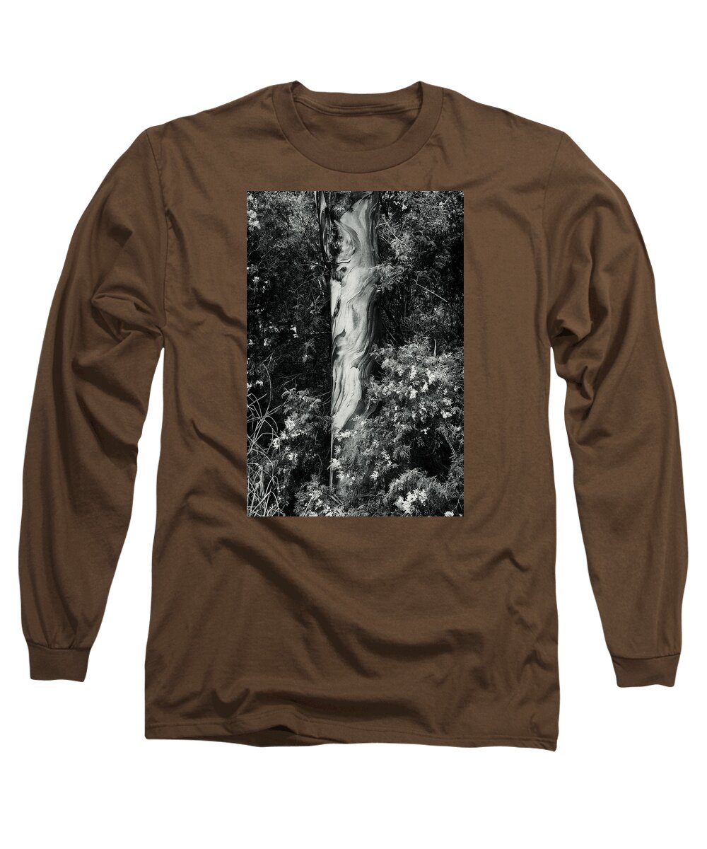 Eucalyptus Long Sleeve T-Shirt featuring the photograph FLA-150523-ND800E-24853-bw-green by Fernando Lopez Arbarello
