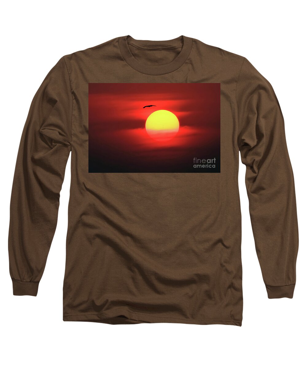 Sun Long Sleeve T-Shirt featuring the photograph Flight to the Sun by Roger Becker