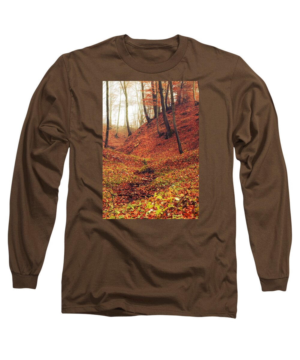 Autumn Long Sleeve T-Shirt featuring the photograph Forest of november by Art of Invi