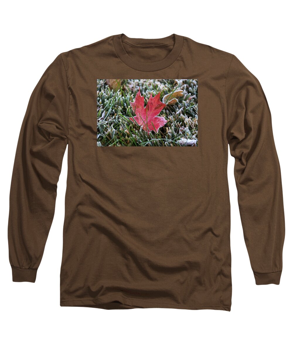 Frost Long Sleeve T-Shirt featuring the photograph Frosted maple leaf by Yumi Johnson