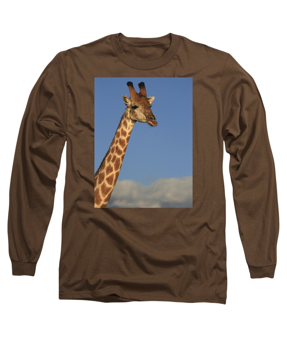 Karen Zuk Rosenblatt Art And Photography Long Sleeve T-Shirt featuring the photograph Giraffe Encounter by Karen Zuk Rosenblatt