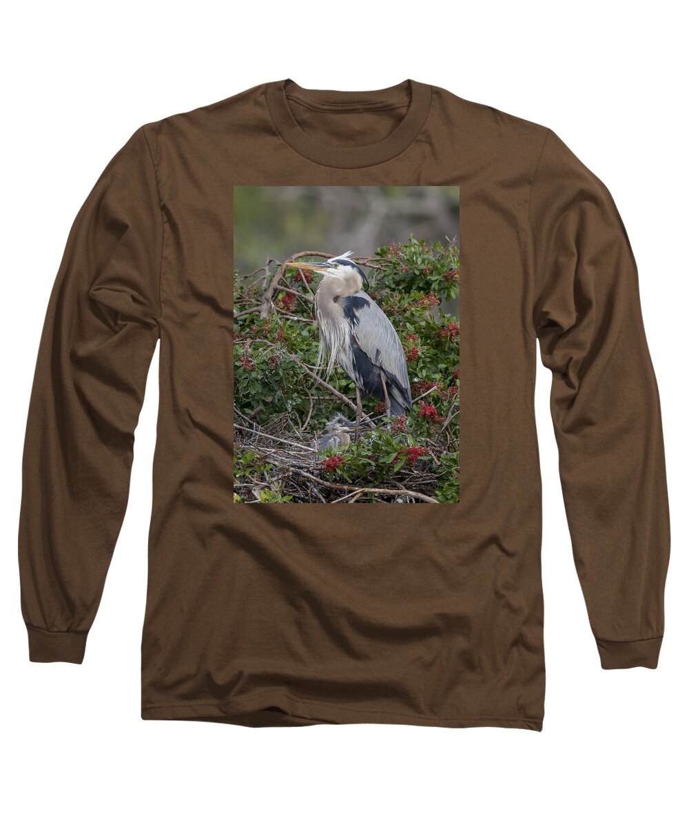 Great Long Sleeve T-Shirt featuring the photograph Great Blue Heron and nestling by David Watkins