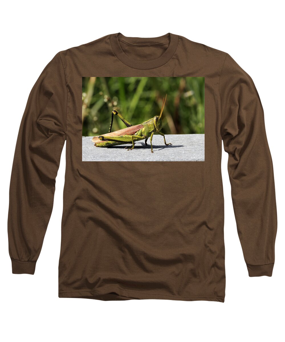 Alive Long Sleeve T-Shirt featuring the photograph Green Grasshopper by Travis Rogers