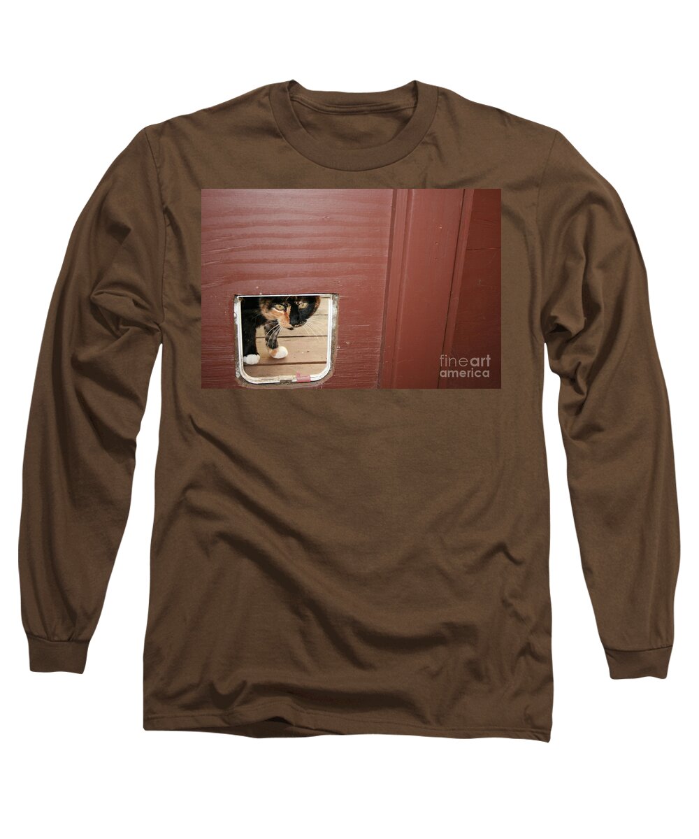 Cat Long Sleeve T-Shirt featuring the photograph Curly peeking by Cynthia Marcopulos