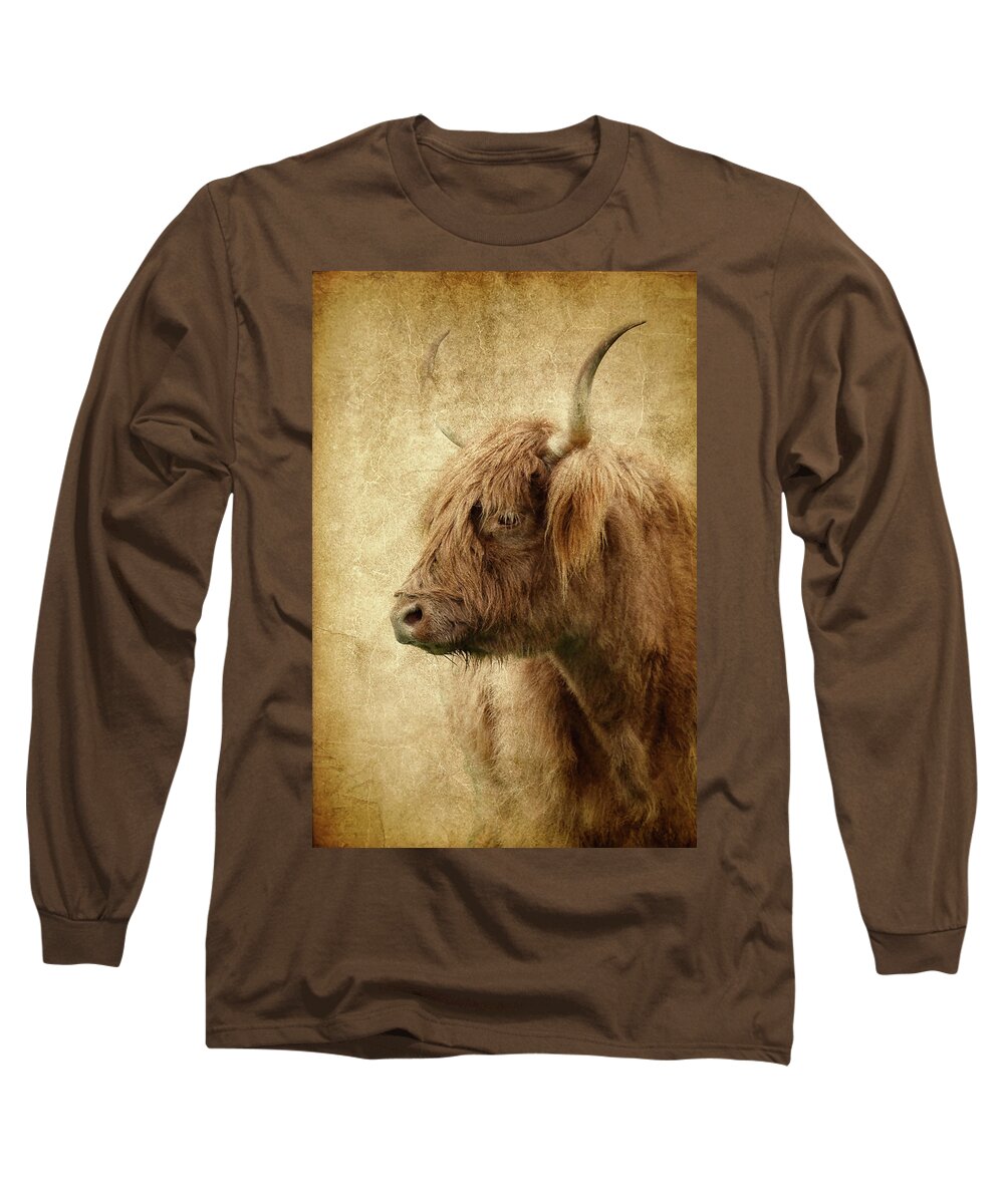 Highland Bull Long Sleeve T-Shirt featuring the photograph Highland Bull Paint by Athena Mckinzie
