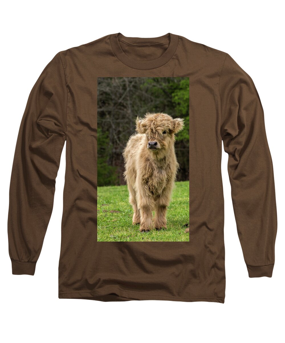 Calf Long Sleeve T-Shirt featuring the photograph Highland Calf by Holly Ross