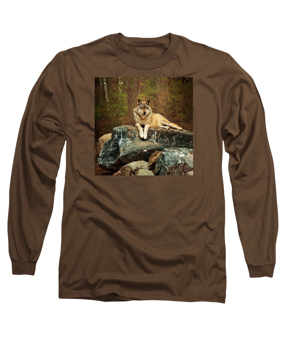 Animal Long Sleeve T-Shirt featuring the photograph Just Chilling by Susan Rissi Tregoning