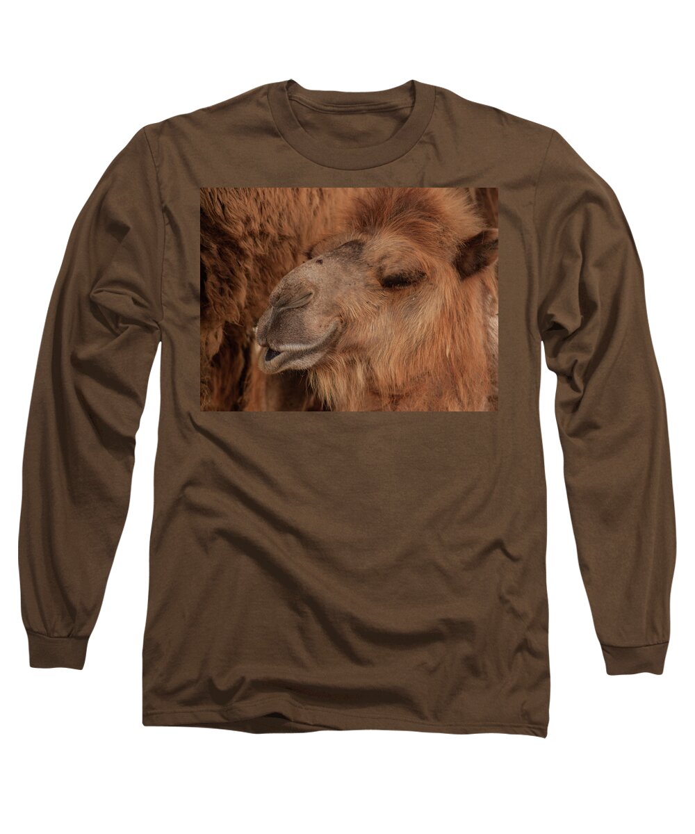 Camel Long Sleeve T-Shirt featuring the photograph Kisses by Stewart Helberg