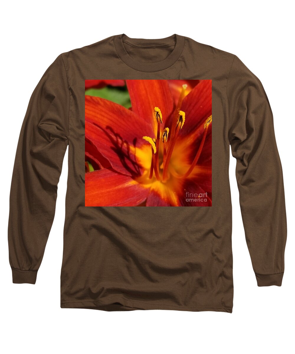 Sea Long Sleeve T-Shirt featuring the photograph Lily Shadows by Michael Graham