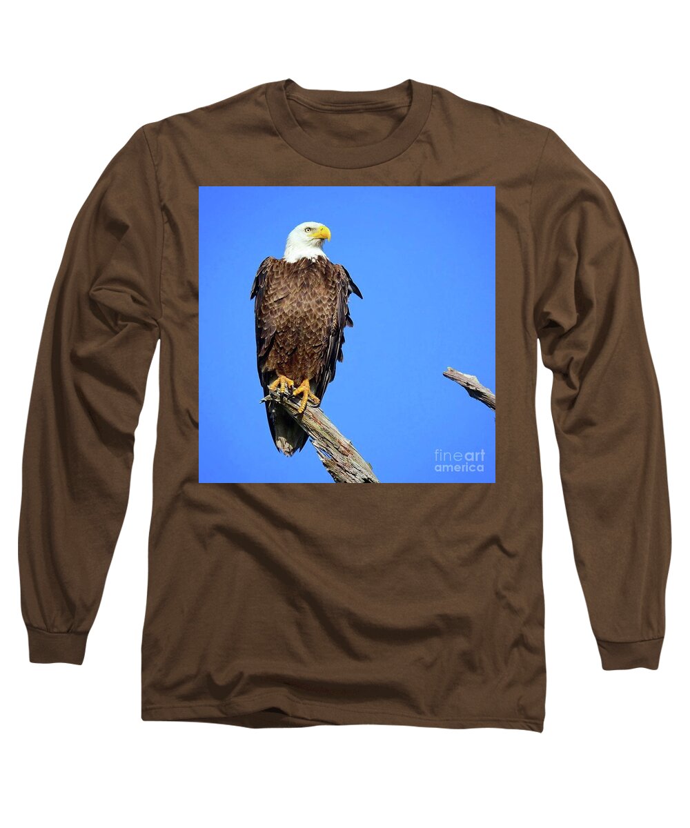 Bald Eagle Long Sleeve T-Shirt featuring the photograph M15 proud by Liz Grindstaff