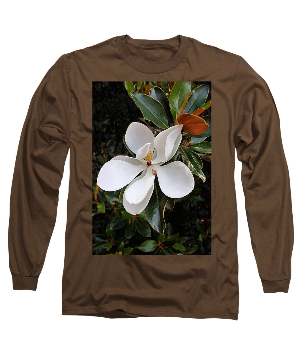 Magnolia Long Sleeve T-Shirt featuring the photograph Magnolia Blossom by Kristin Elmquist
