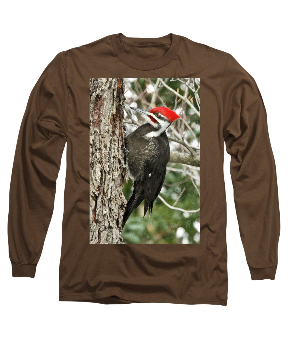 Red Long Sleeve T-Shirt featuring the photograph Male Pileated Woodpecker 6069. by Michael Peychich