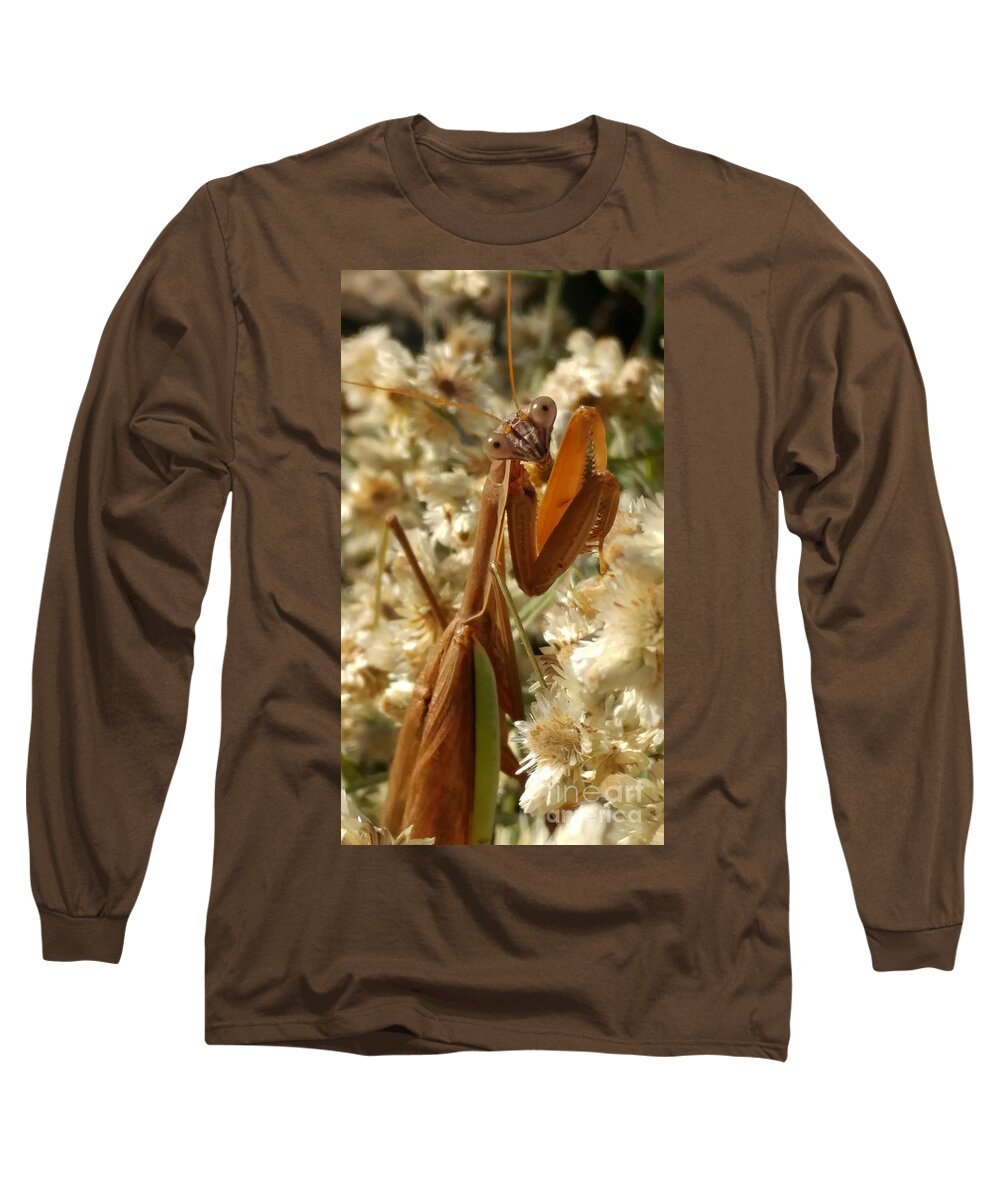 Praying Mantis Long Sleeve T-Shirt featuring the photograph Mantis pose by J L Zarek