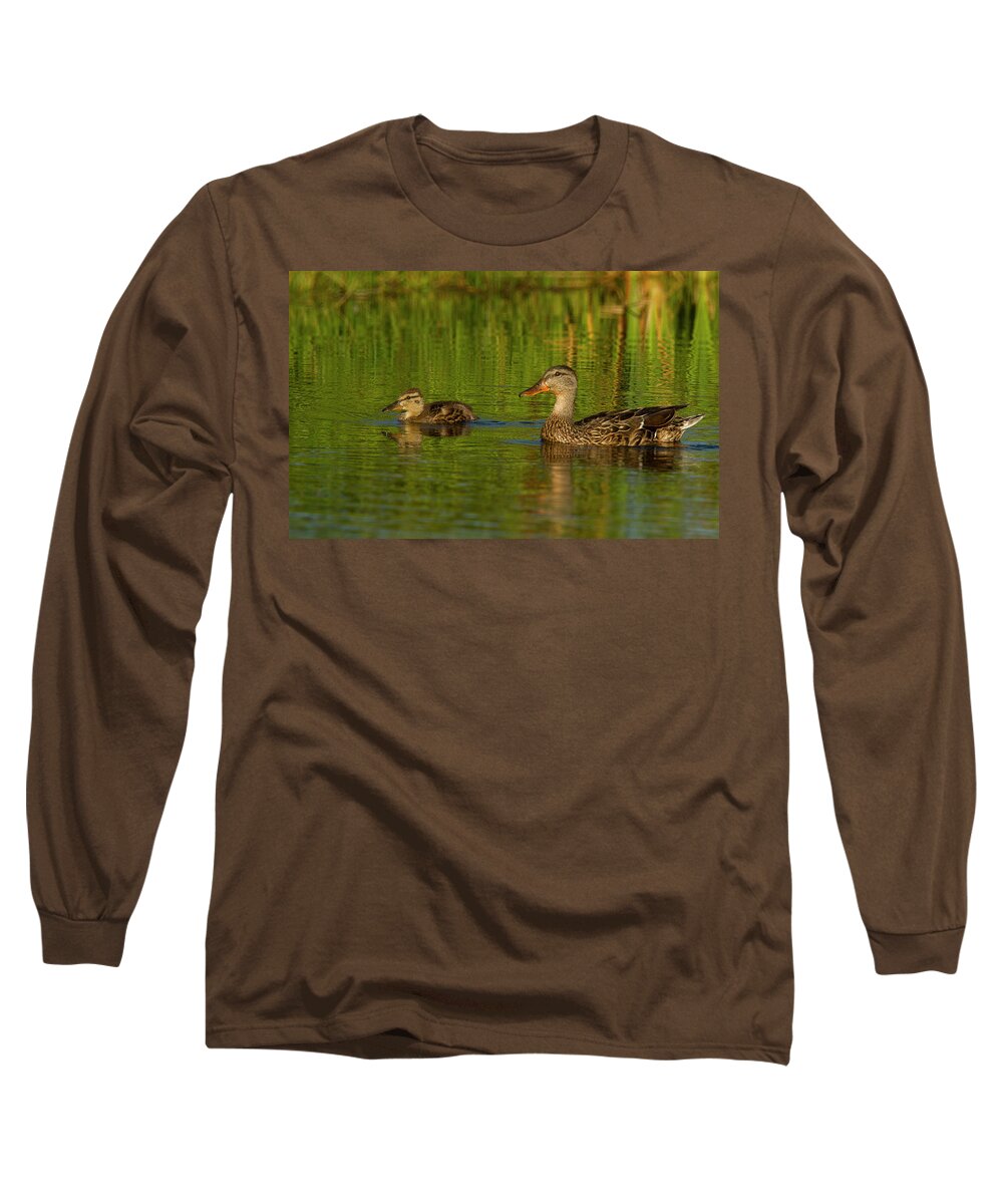 Jean Noren Long Sleeve T-Shirt featuring the photograph Mother and Child Mallards by Jean Noren