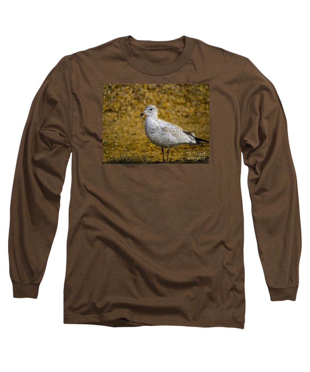 Seagull Long Sleeve T-Shirt featuring the photograph Mrs. Seagull by Melissa Messick