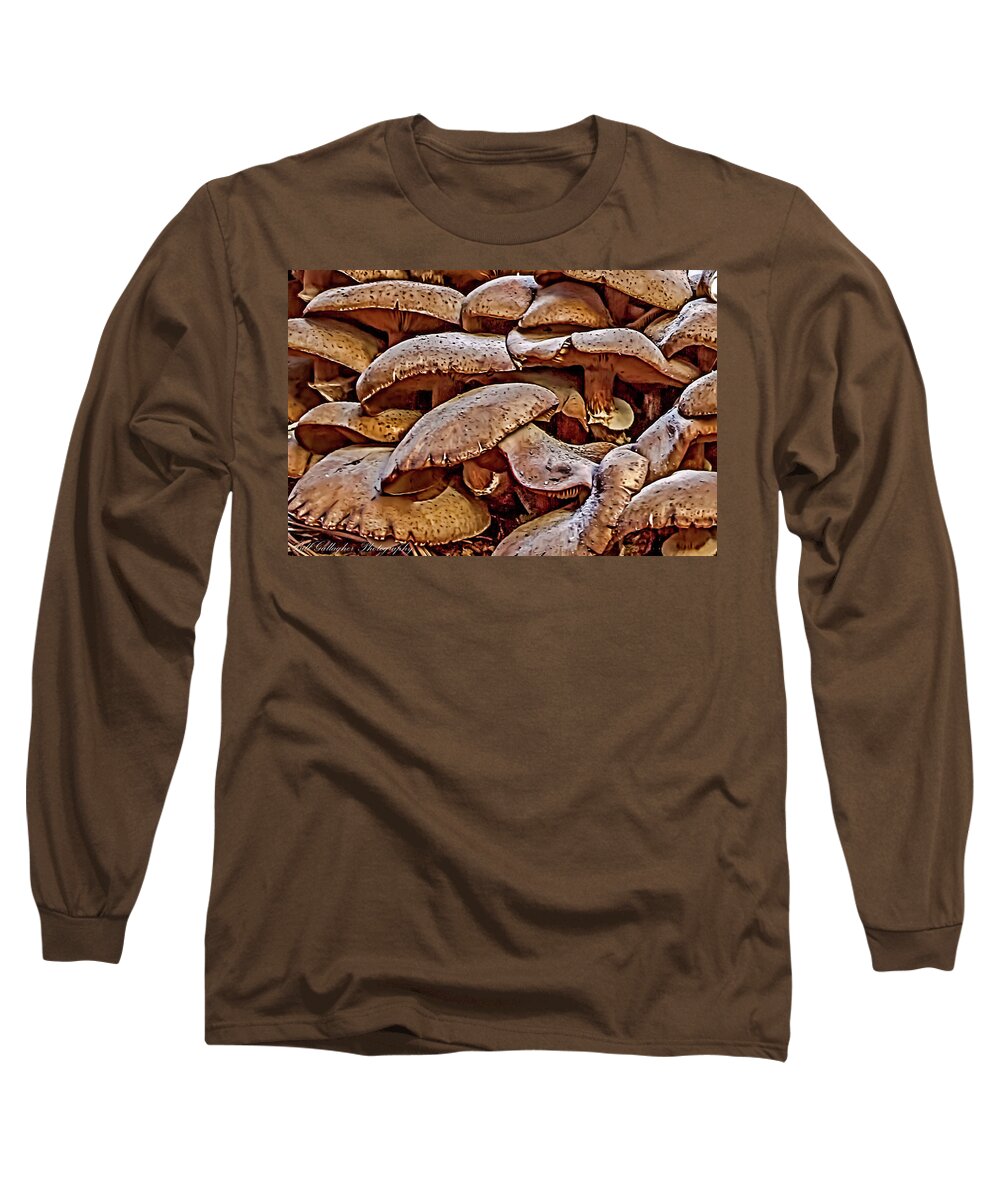 Nature Long Sleeve T-Shirt featuring the photograph Mushroom Colony by Bill Gallagher
