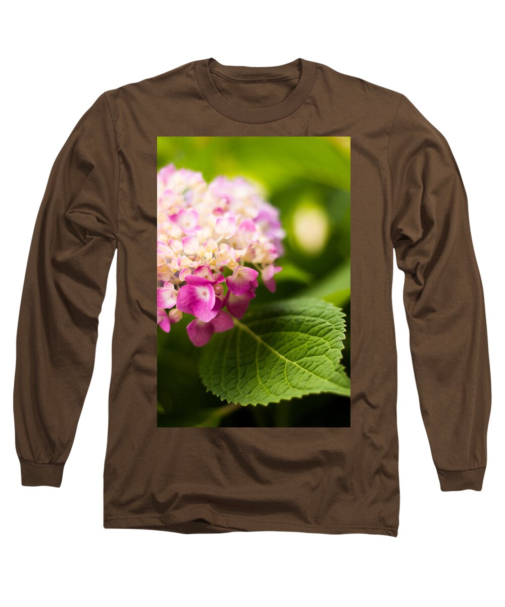 Hydrangea Long Sleeve T-Shirt featuring the photograph Natural Beauty by Parker Cunningham