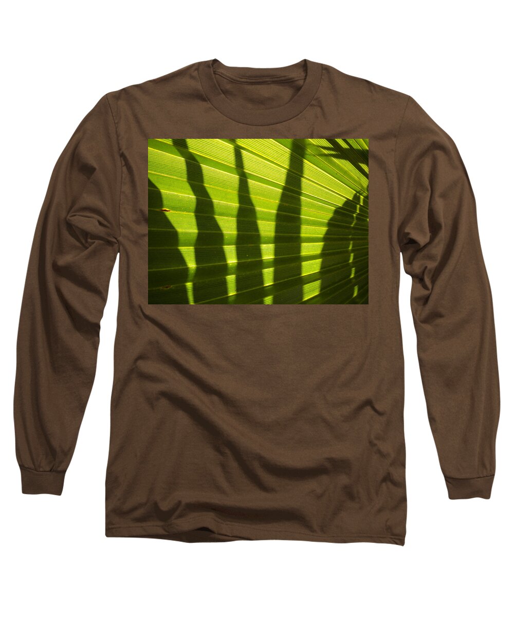 Tropical Long Sleeve T-Shirt featuring the photograph Palmetto 4 by Renate Wesley