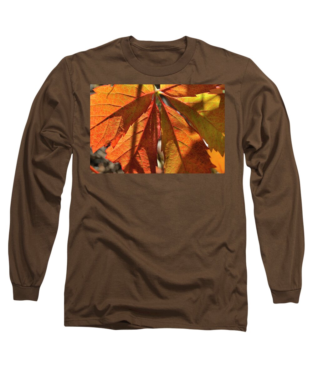 Nature Long Sleeve T-Shirt featuring the photograph Patterns In Orange by Ron Cline