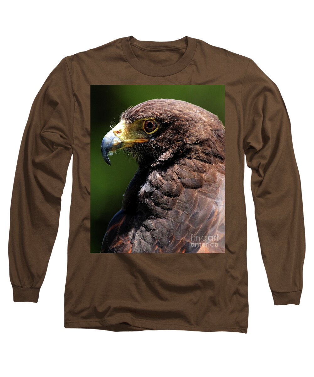 Animal Long Sleeve T-Shirt featuring the photograph Portrait of a Hawk . 40D7882 by Wingsdomain Art and Photography