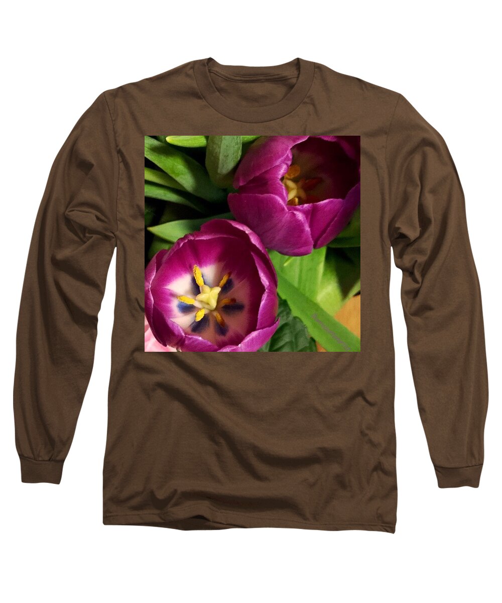 123purples Long Sleeve T-Shirt featuring the photograph Purple Tulips Inside, Layout In by Anna Porter