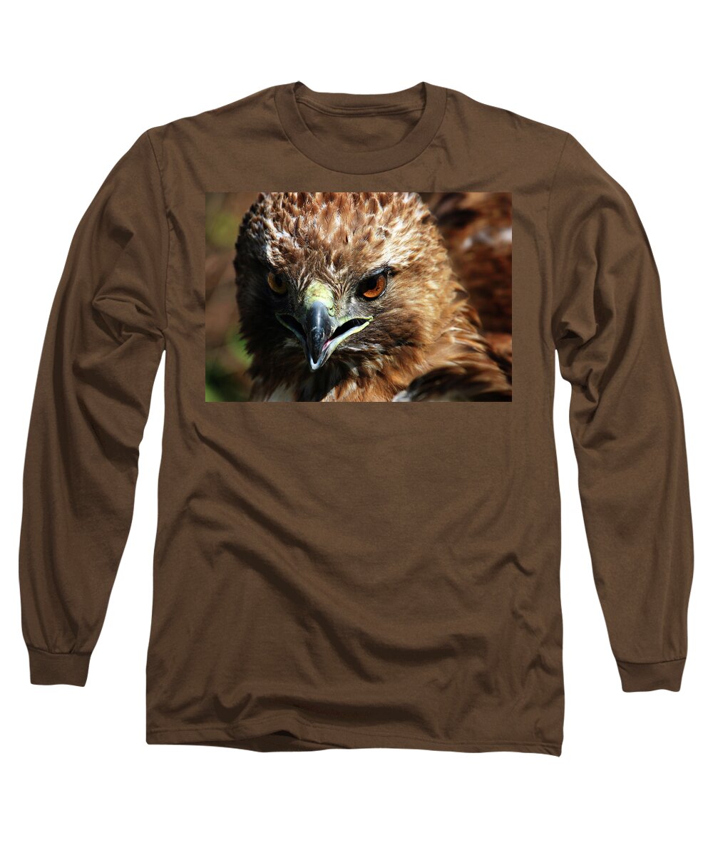 Red-tail Hawk Long Sleeve T-Shirt featuring the photograph Red-Tail Hawk Portrait by Anthony Jones