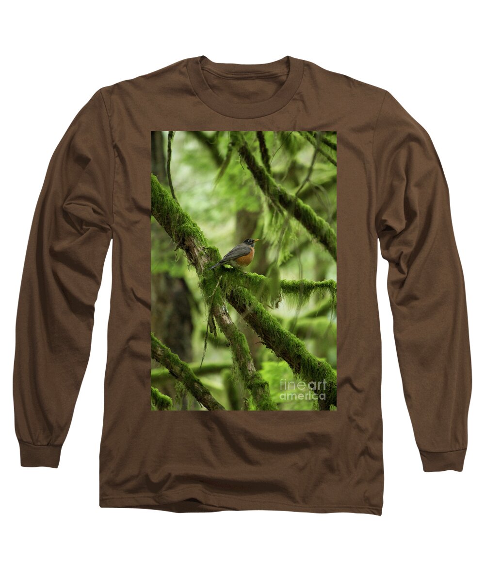 Robin Long Sleeve T-Shirt featuring the photograph Robin on a Branch by Donna L Munro