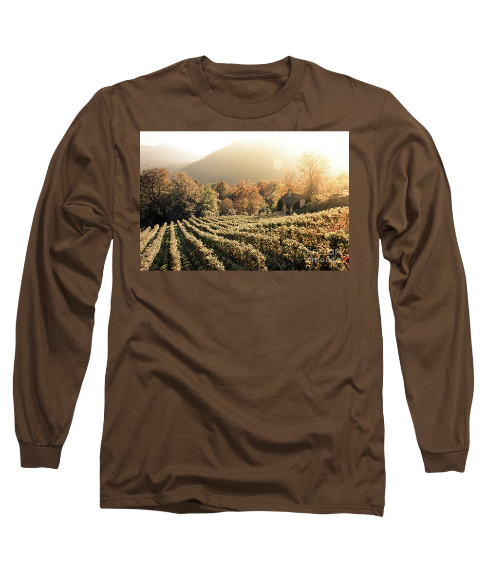Autumn Long Sleeve T-Shirt featuring the photograph Rows of vine in a vineyard in ticino, switzerland at sunset by Amanda Mohler