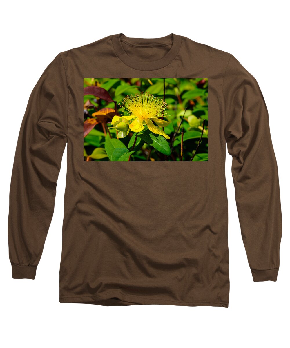 Flower Long Sleeve T-Shirt featuring the photograph Saint John's Wort Blossom by Tikvah's Hope
