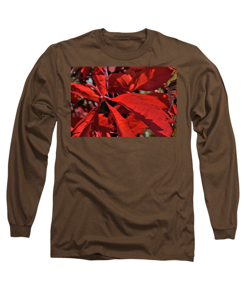 Nature Long Sleeve T-Shirt featuring the photograph Scarlet Intensity by Ron Cline