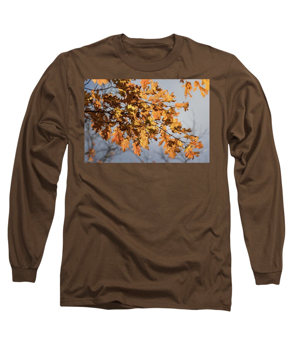 Leaves Long Sleeve T-Shirt featuring the photograph Shadow and Light - by Julie Weber