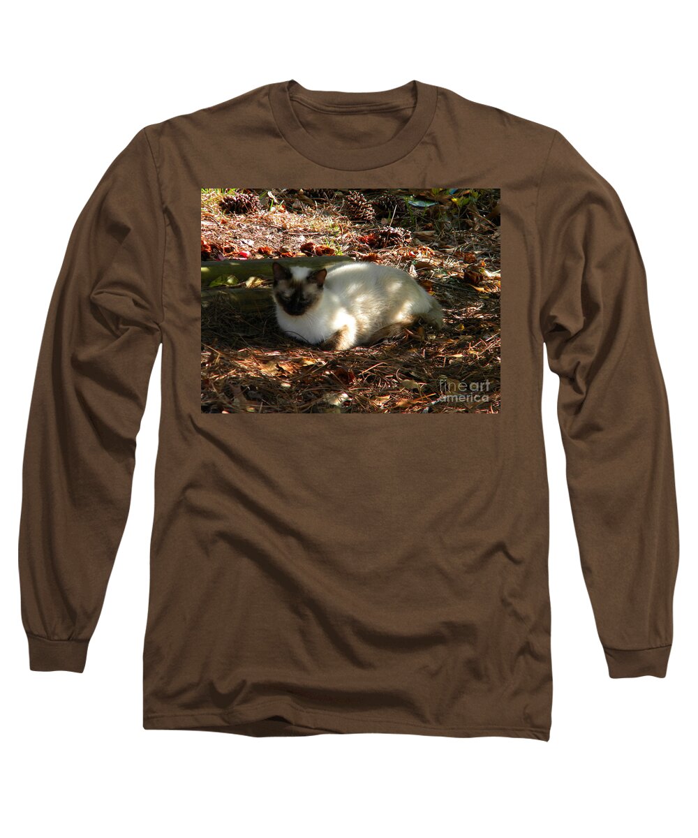 Siamese Long Sleeve T-Shirt featuring the photograph Siamese Sweetie by Matthew Seufer