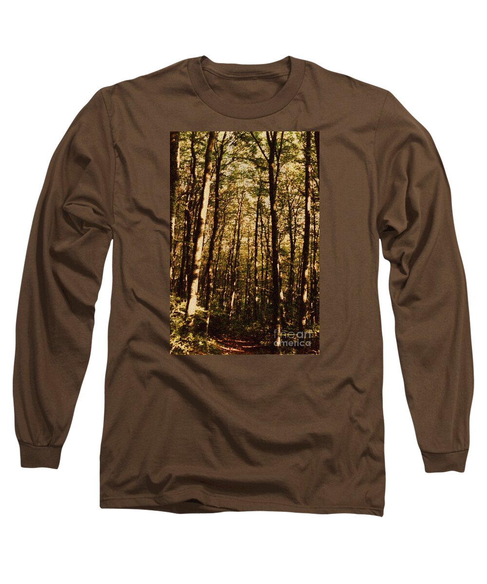 Background Long Sleeve T-Shirt featuring the photograph Spring Forest by Jean Bernard Roussilhe