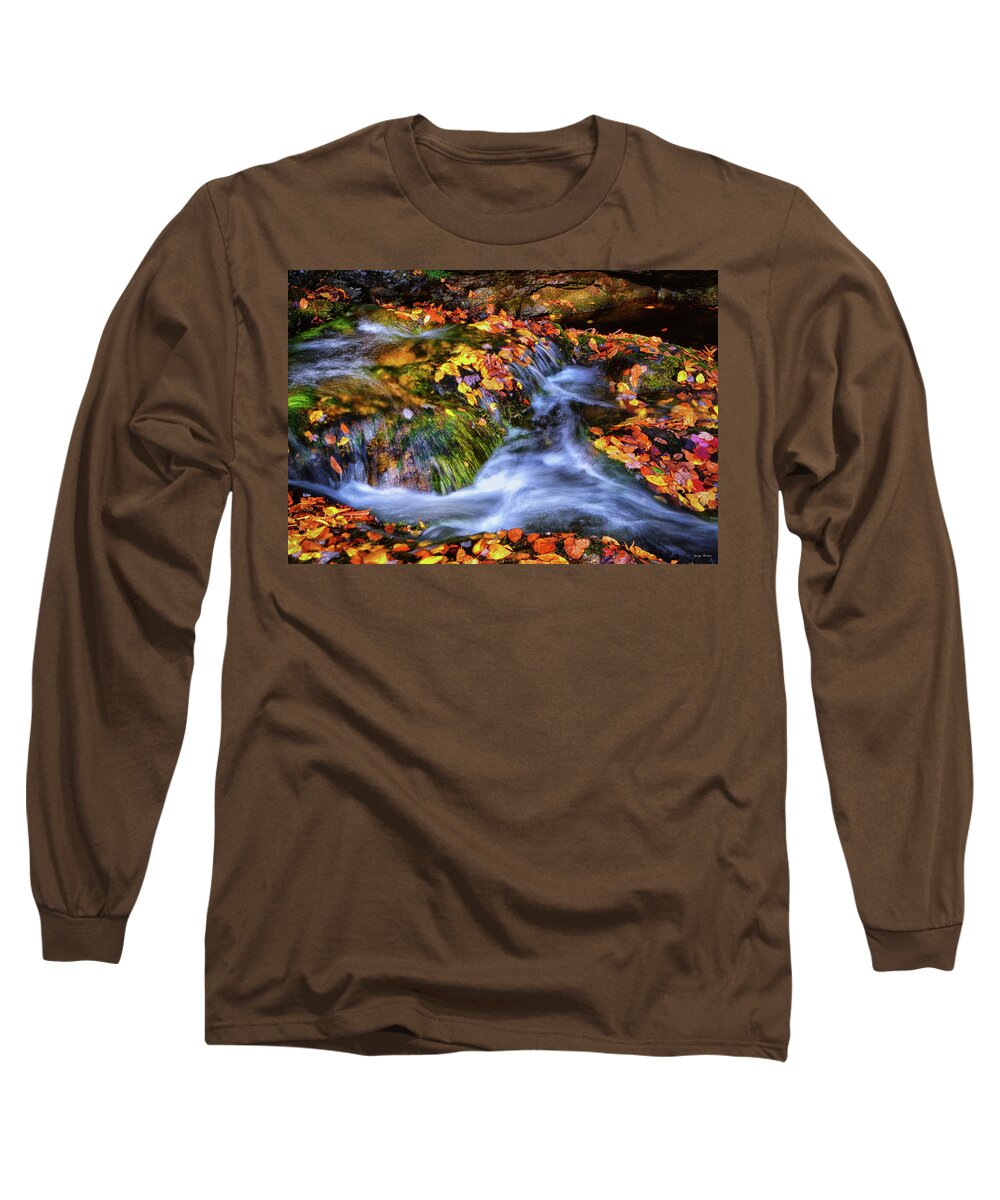 Waterfall Long Sleeve T-Shirt featuring the photograph Standing In Motion - Leaves On A Rock 007 by George Bostian